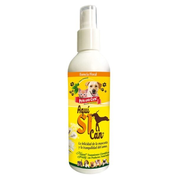 Aquí Si Can 240 mL