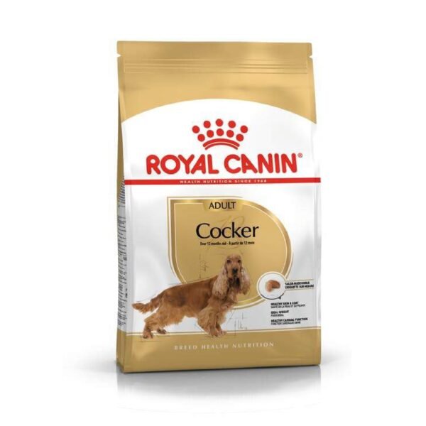Royal Canin Cocker Adulto 3 kg