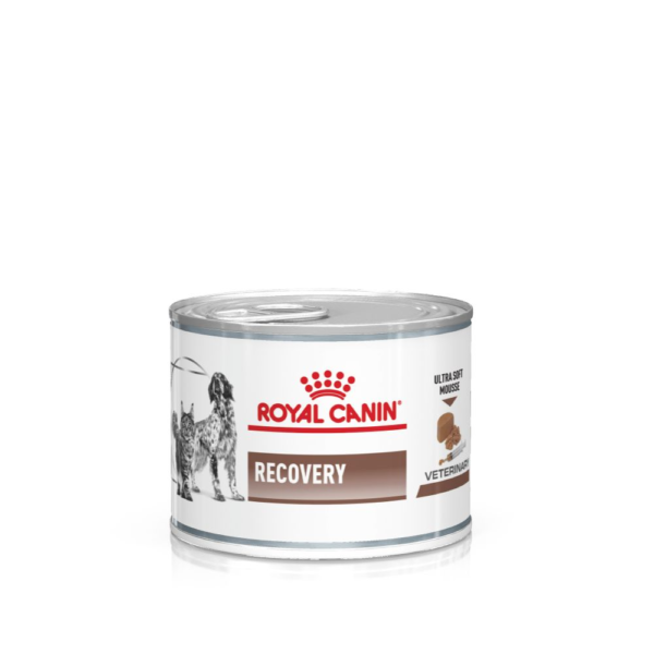 Royal Canin Veterinary Nutrition Perros/Gatos Recovery Lata 195 Gr