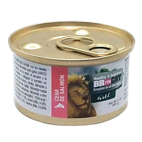 Br for Cat Wild Lata Paté Salmón 85 gr