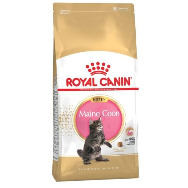 Royal Canin Maine Coon Kitten 4 kg
