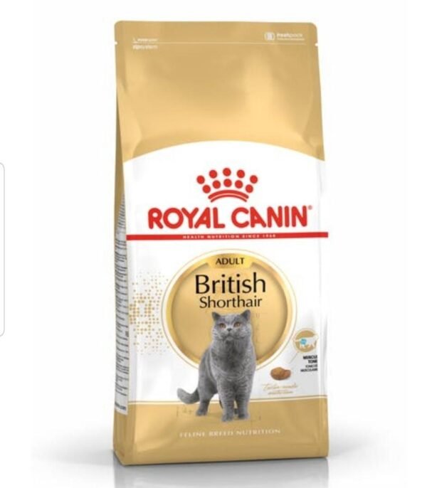 Royal Canin British Shorthair Adulto 2 kg