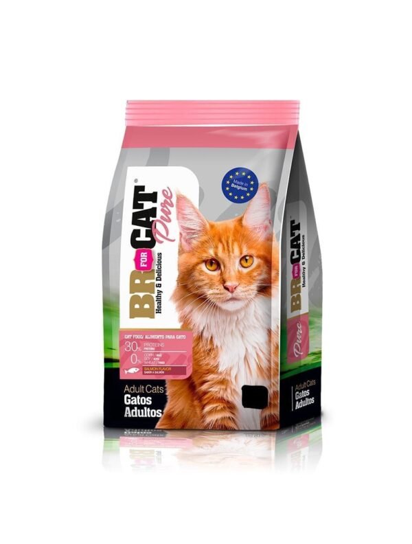 Br For Cat Adulto Salmón 10 kg