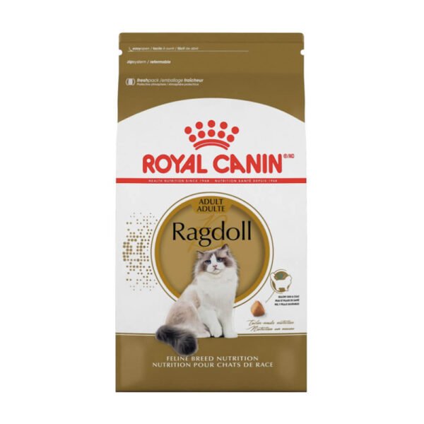 Royal Canin Ragdoll Adulto 2 kg