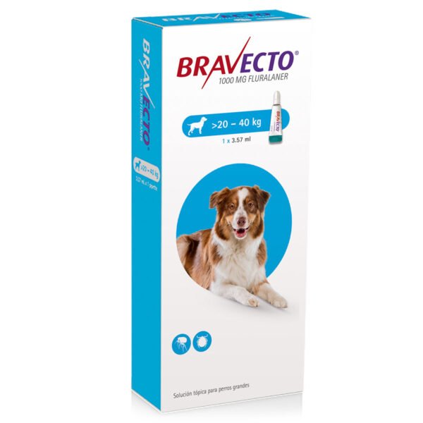 Bravecto️ Perros 1000 Mg 1 Pipeta / 20Kg - 40Kg
