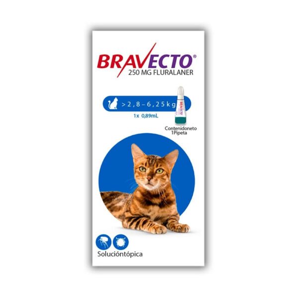 Bravecto Gatos 250 Mg 1 Pipeta / 2.8Kg - 6.2Kg