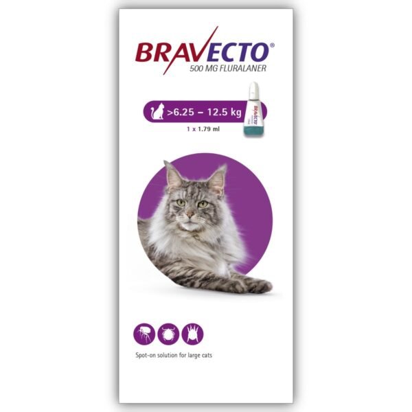 Bravecto Gatos 500 Mg 1 Pipeta / 6.2Kg - 12.5Kg
